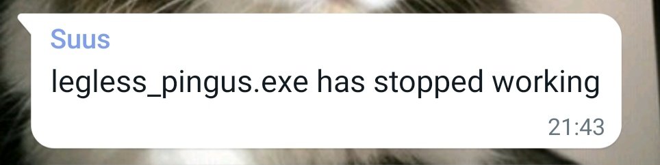 leglesspingus's tweet photo. In case anyone was wondering: https://t.co/BeG36WowjT