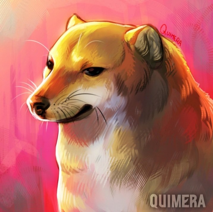 CriptoMapache's tweet photo. Doge is good, but cheems is god #doge #dogecoin #cheems #cheemscoin @TheCheemsTokem https://t.co/NQvwwRftHY