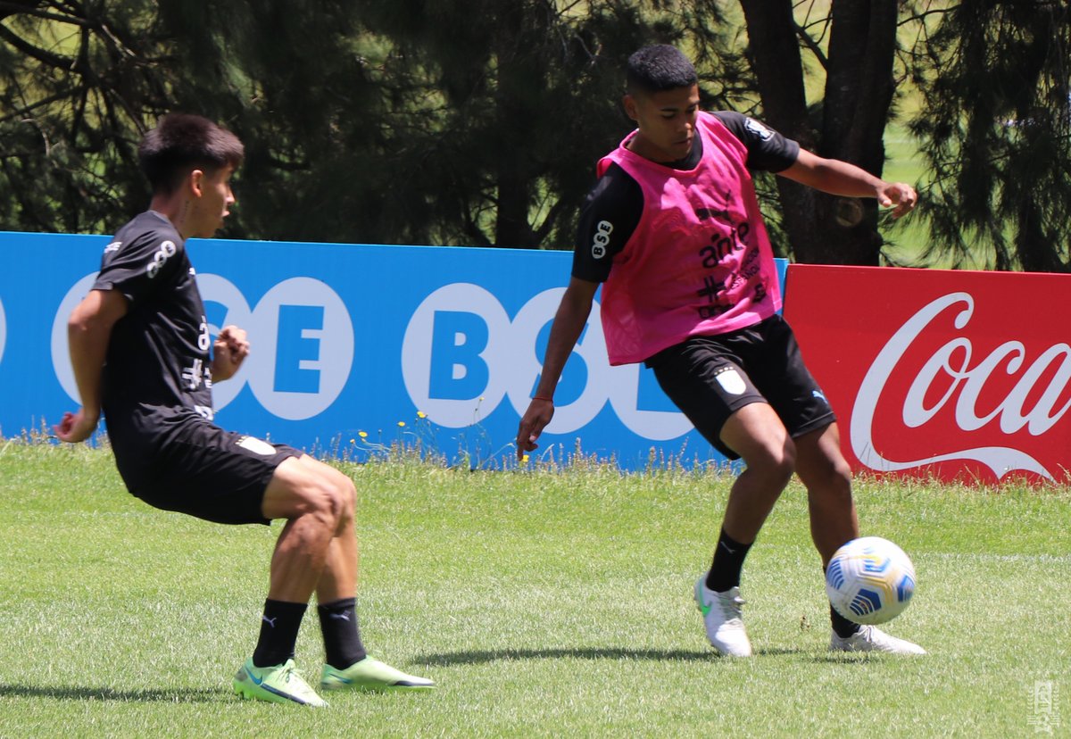 Selección Uruguaya tweet media