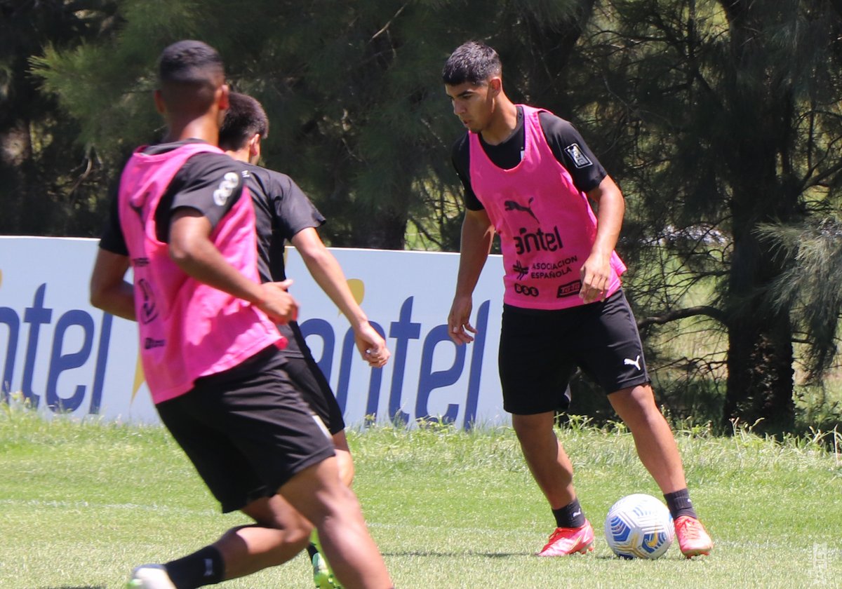 Selección Uruguaya tweet media