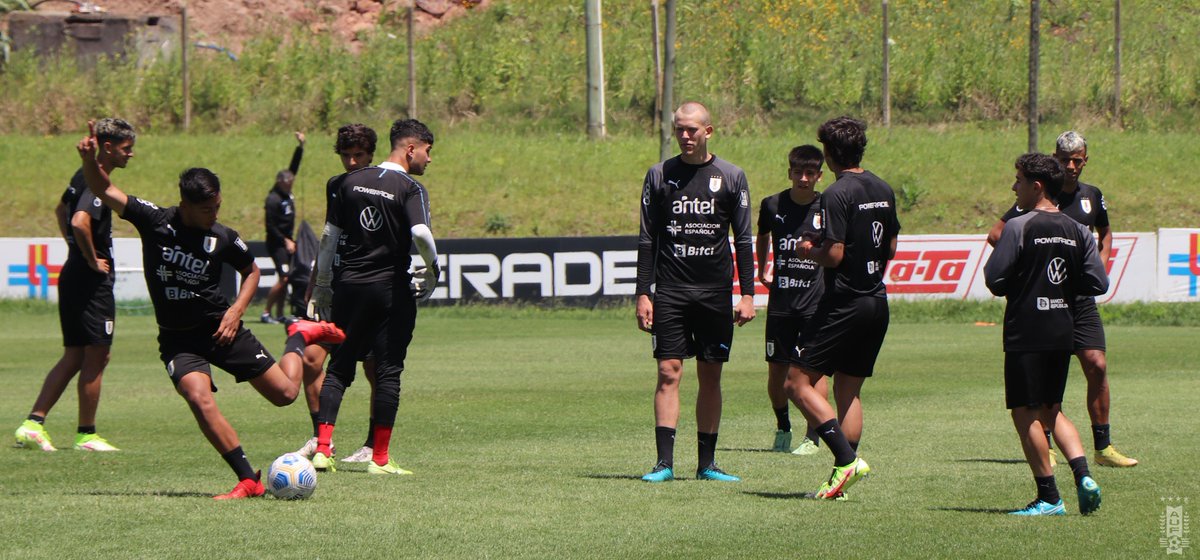 Selección Uruguaya tweet media