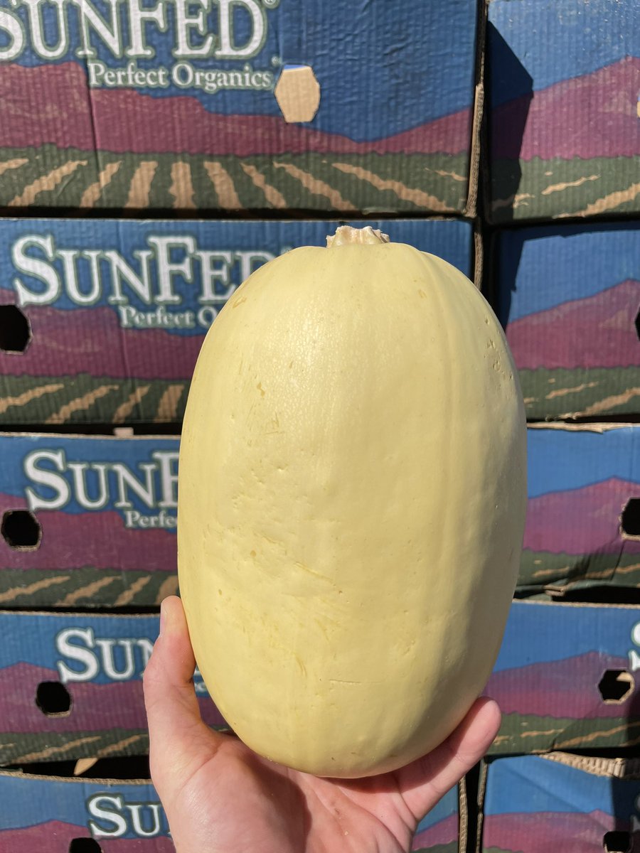 domingoelias's tweet photo. Spaghetti Squash #perfectproduce @_PerfectProduce https://t.co/JEzHtPXxZg