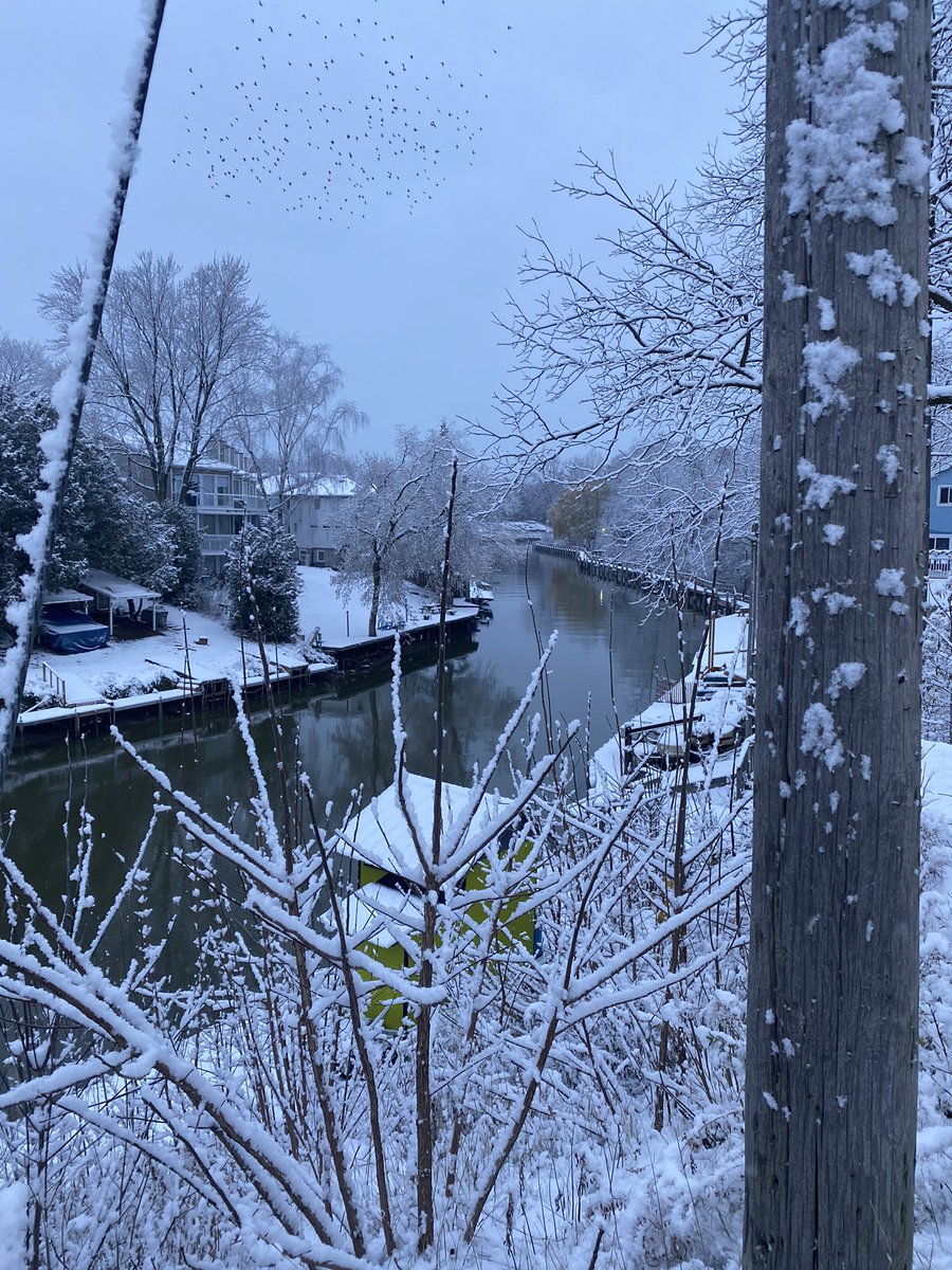 shelliestorey13's tweet photo. Living in a winter wonderland #winterwonderland #lakehuron #ontario #sweaterweather #lakelife #goodvibes #selflove https://t.co/rky2VHbfrX