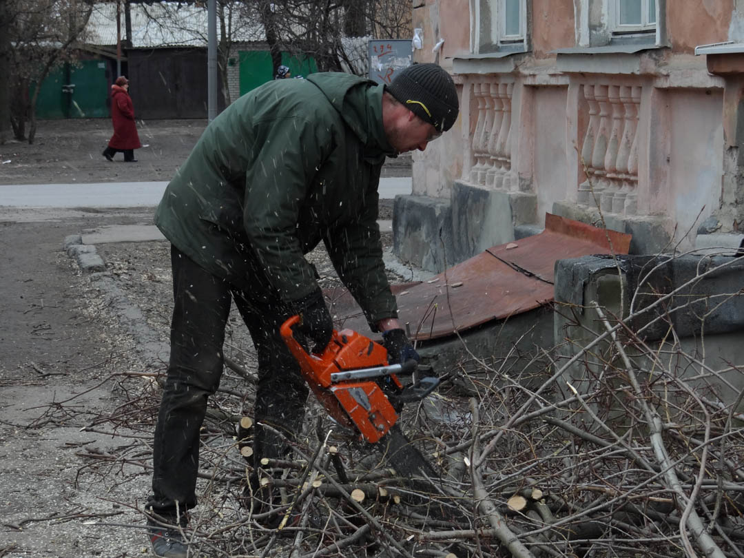 AffordableAn's tweet photo. Trees are an essential feature of your outdoor space, which is why it's important to maintain them regularly! #24HourTreeService #Arborist https://t.co/QDZTRnumlg https://t.co/yxG2zJsrbY
