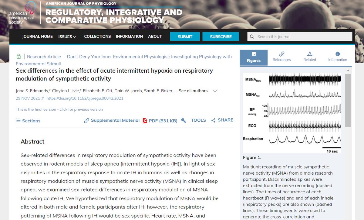 Sex differences in the effect of acute intermittent #hypoxia on respiratory modulation of sympathetic activity (Edmunds et al.) - new in <a href="/AJPRegu/">AJP-Regulatory, Integrative Comparative Physiology</a> 

ow.ly/paRr50H01yh