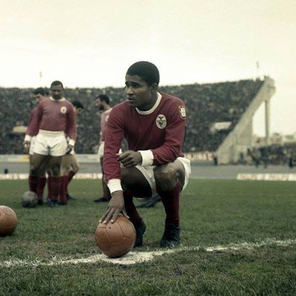 ProfetaBenfica's tweet photo. Que jogador era Eusébio? Como se comportava taticamente? Associava-se com os colegas ou jogava mais isolado? Era ponta de lança ou segundo avançado? 

Na comemoração dos seus 80 anos, lanço o "Eusébio, para além dos golos".

25-1-22 no @EusebioGreat. https://t.co/8JEN6uP1Gm