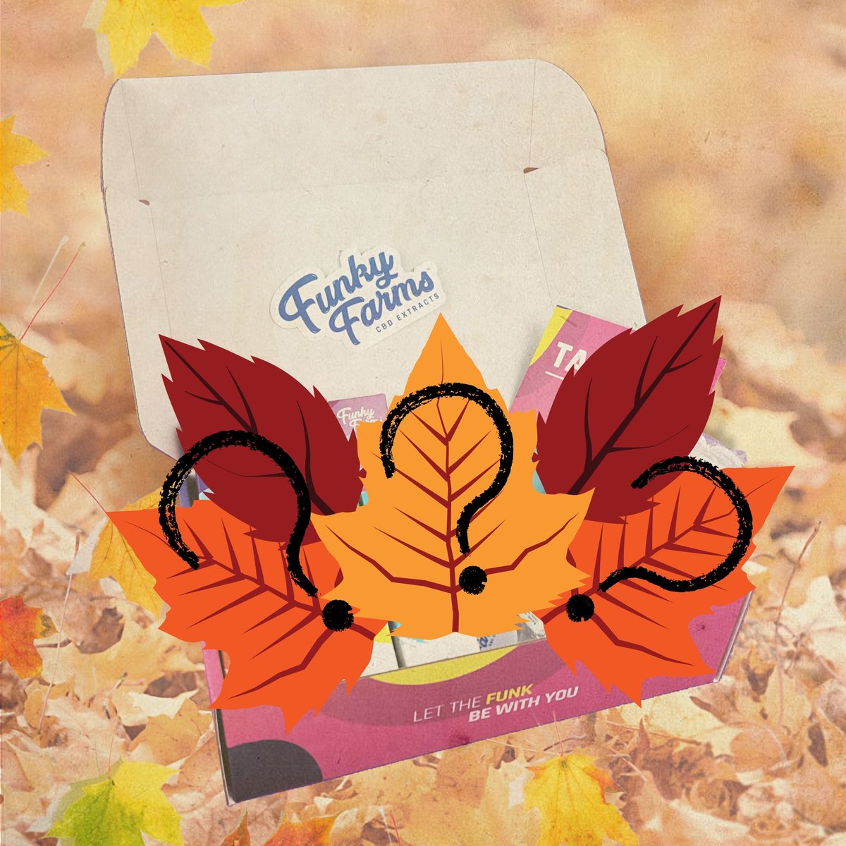 🍂 Laaaaaaaaasssssst Day for Nov Mystery Box 🍂 Calling all Mystery lovers - there's only one day left for the November box! Get yours today!
.
#funky #mystery #surprise #whatsinthebox #whatthefunk #timetogetfunky #cbdlife #festive #holiday #fall #autumn