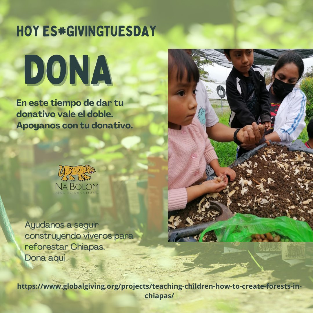 globalgiving.org/projects/teach…