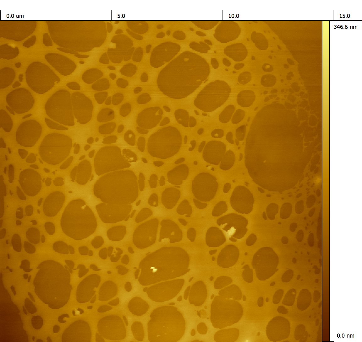 BreakingTaps tweet media