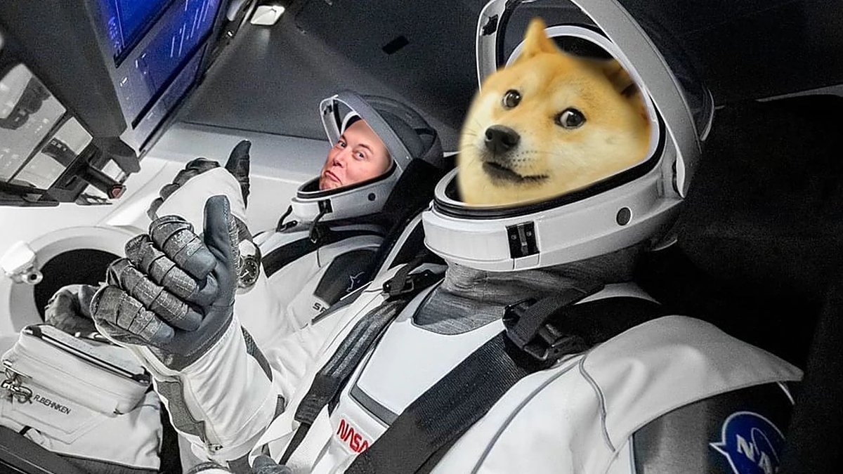 asqfox's tweet photo. I want 50000$ in DOGE, because Tesla can get me from point A to point B, but DOGE can get me to the MOON!🚀✨🌕 
#DOGEorTesla #Binance https://t.co/Kxc2rhCmD0