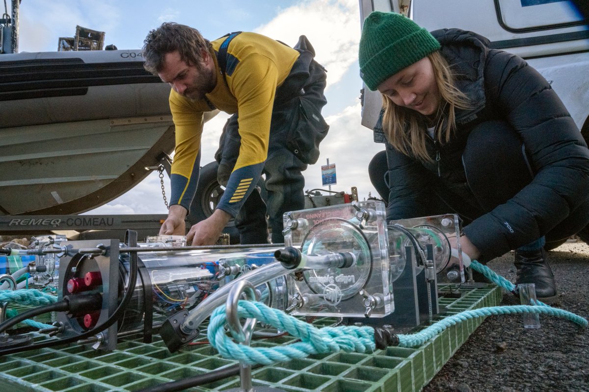 So crazy PhD field work happened last week, Sebastes > in respirometer > underwater > 30m deep 🥳.
Couldn't have done it without a great team from @DFO_Science @MPO_Science 
#respirometry @LoligoSystems @FishSciBot 
📷<a href="/jillheinerth/">jillheinerth</a> &amp; JD Tourangeau