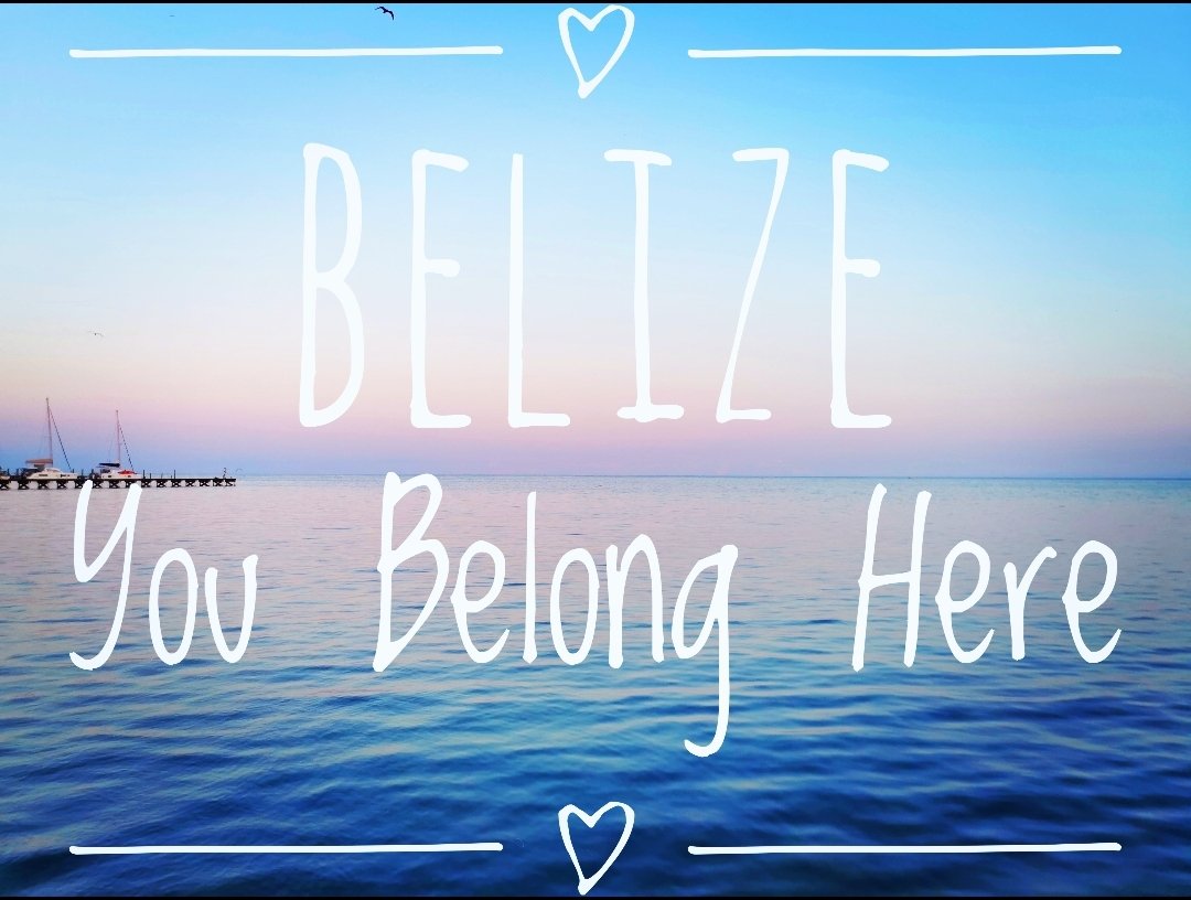 Beach Perfect BZ tweet media