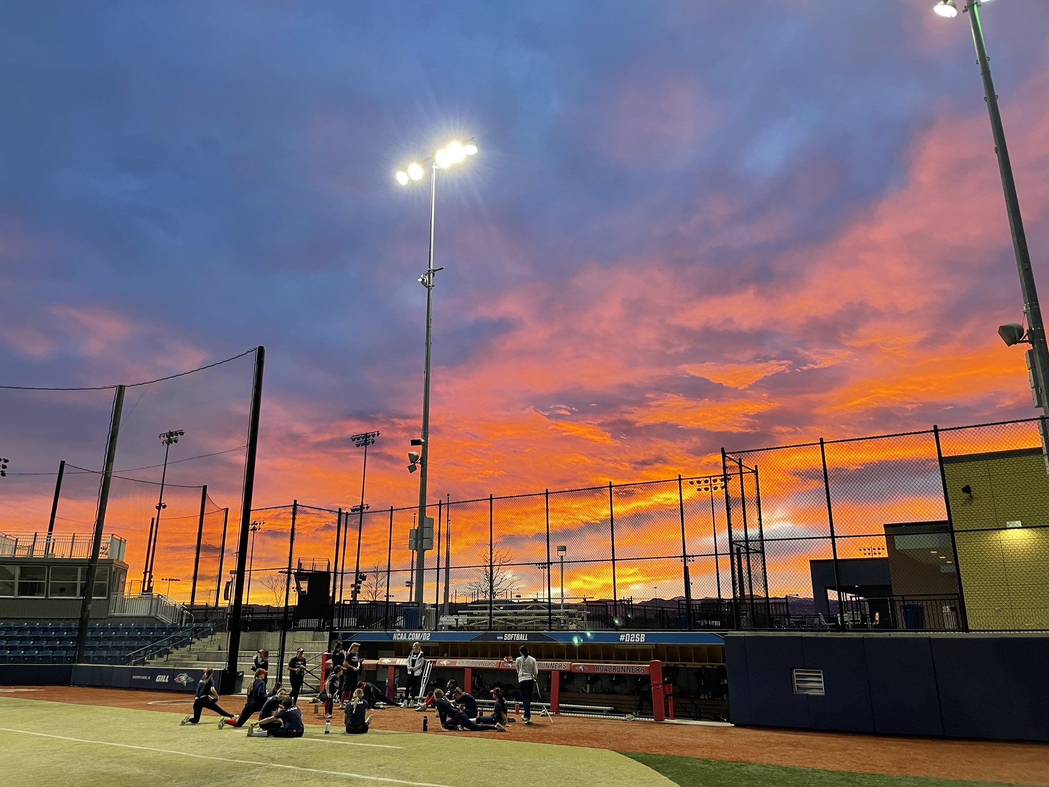 Msu Denver Softball Roadrunnersb Twitter