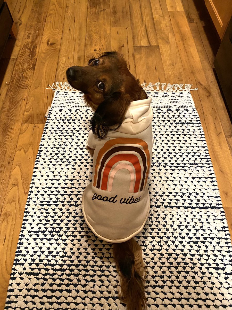 CjNsmith4's tweet photo. Hey @AldiUSA how do I get this hoodie in my size to match my dude🥺 https://t.co/9fZMQ7qIWe
