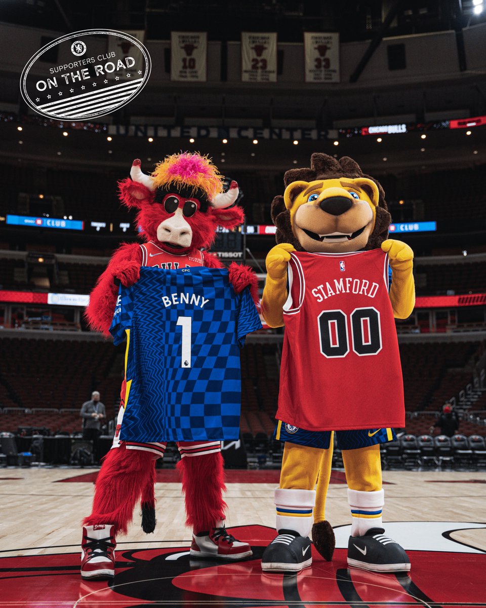 The collaboration you didn't know you needed! 😎

<a href="/chicagobulls/">Chicago Bulls</a> &amp; <a href="/bennythebull/">Benny</a> x Stamford! 🏀

#BluesInTheUSA 🇺🇸