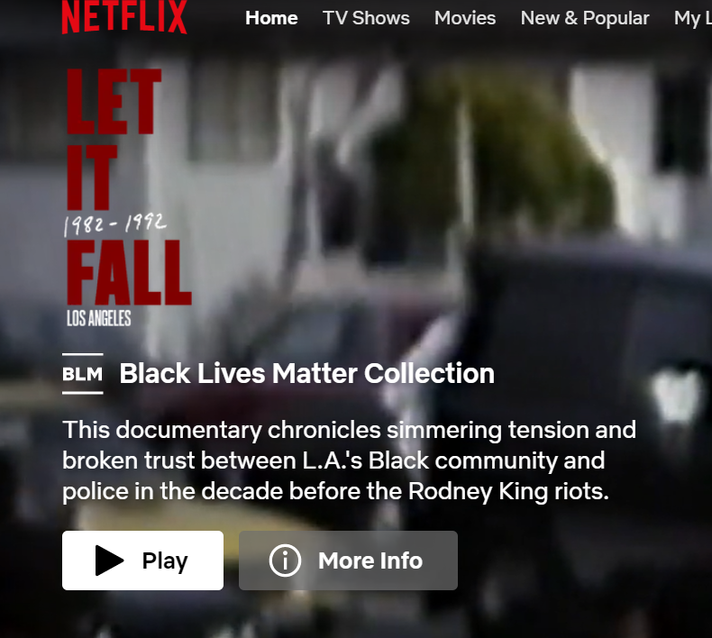 DemographyNow's tweet image. Keep on pretending we don't know about the black terrorist who you're supporting, Netflix.  White Lives Matter.