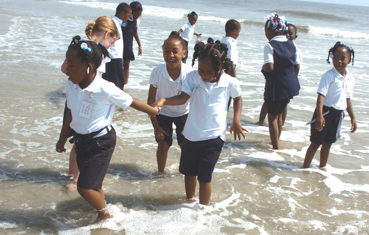 Only a few hours remain for #GivingTuesday! We kindly ask you to consider giving to our Sidewalks to the Sea Program + Educational Exhibits! Donate here: bit.ly/3oG9QYw
.
#tybeeislandmarinesciencecenter #tybeeisland #supportnonprofits #giveback 🐢