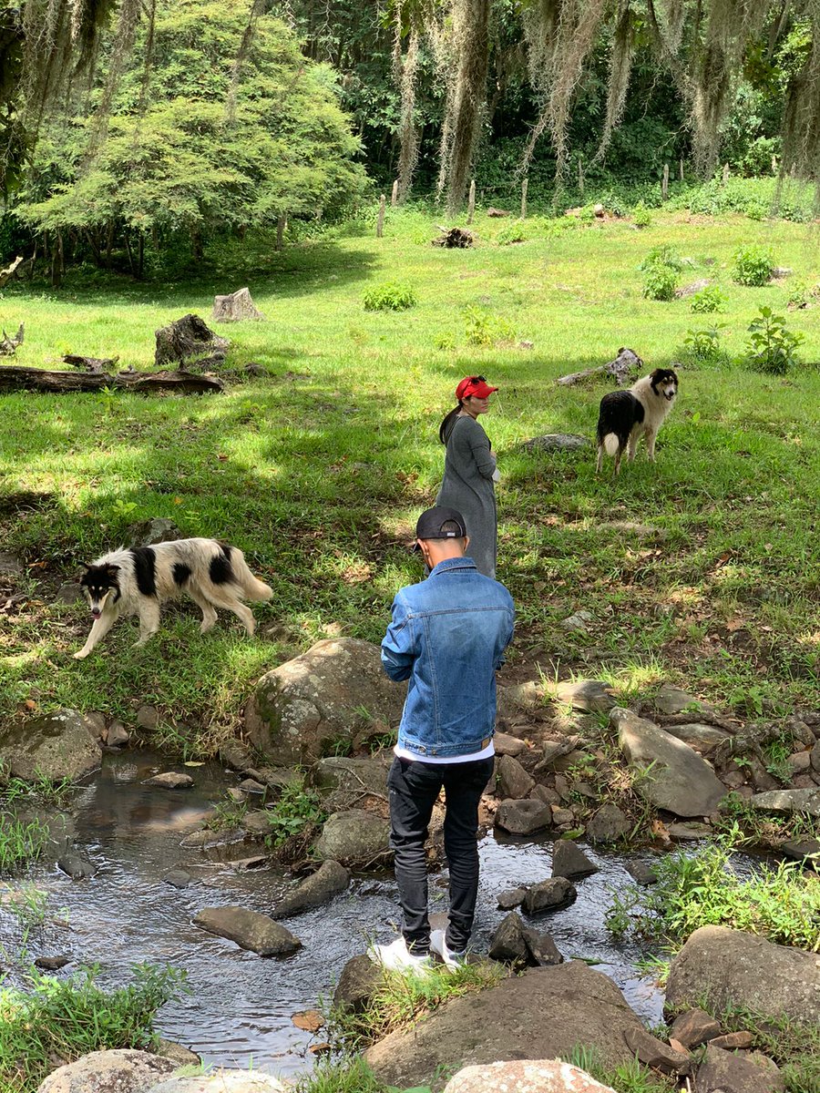 AnzelRay's tweet image. Que ganas de estar en medio de la nada (bosque) y sentir el aire puro. 😌 encontrarse con uno mismo sería!