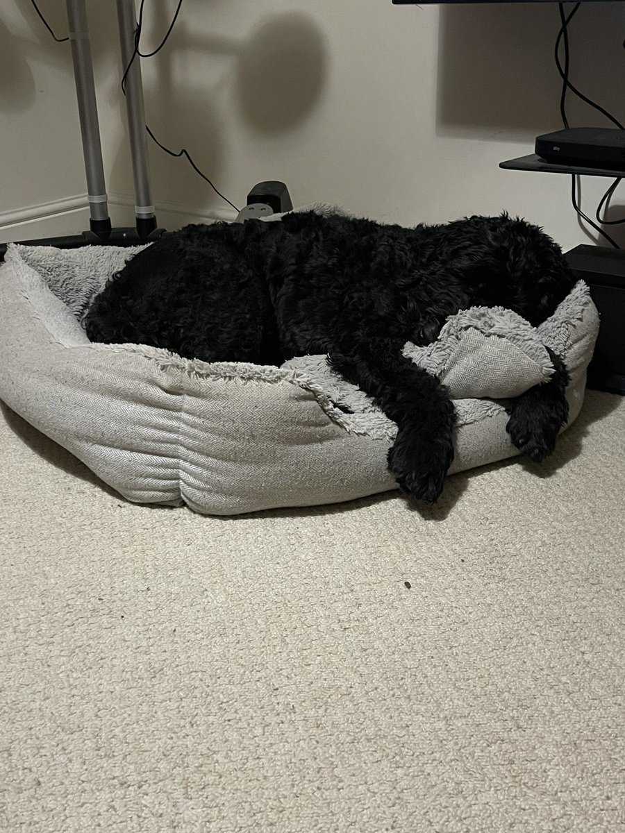 HouseHectorz's tweet photo. Totally chilled tonight!!! Mum has finished Chemo and Radio stuff!!! I have looks after her and given her big snugs, when she needed it. She says I am a superstar ☺️☺️☺️ https://t.co/GkI5Zepoah