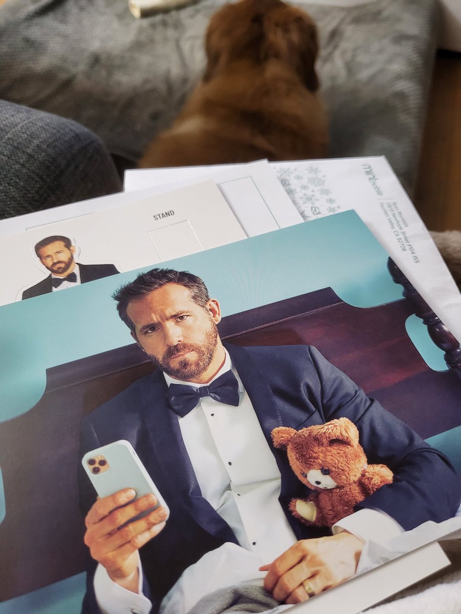 Gaming4Addicts's tweet photo. This why I love @Mintmobile Almost 2 years with them and they still keep a smile on my face 😇👌🏽🌟🌟🌟🌟🌟 Being an Animal Crossing fan, having a "RYAN ON AN ISLAND" standee is perfect for xmas lol. Happy Holidays and a huge thank you @Mintmobile @VancityReynolds https://t.co/LKcU39PJri