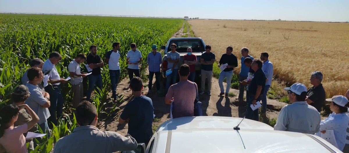 crea_cor's tweet photo. Taller Maximización de eficiencia de riego y fertilizantes en maíces de alto rendimiento junto a los CREAs Jesús María y Cañada de Luque Sitón, con la presencia de Gabriel Esposito. 

Linda jornada de intercambio. 😁🌽

#CREACOR #SomosCREA
#Maíz #riego #fertilizantes https://t.co/XzmqokjZT6