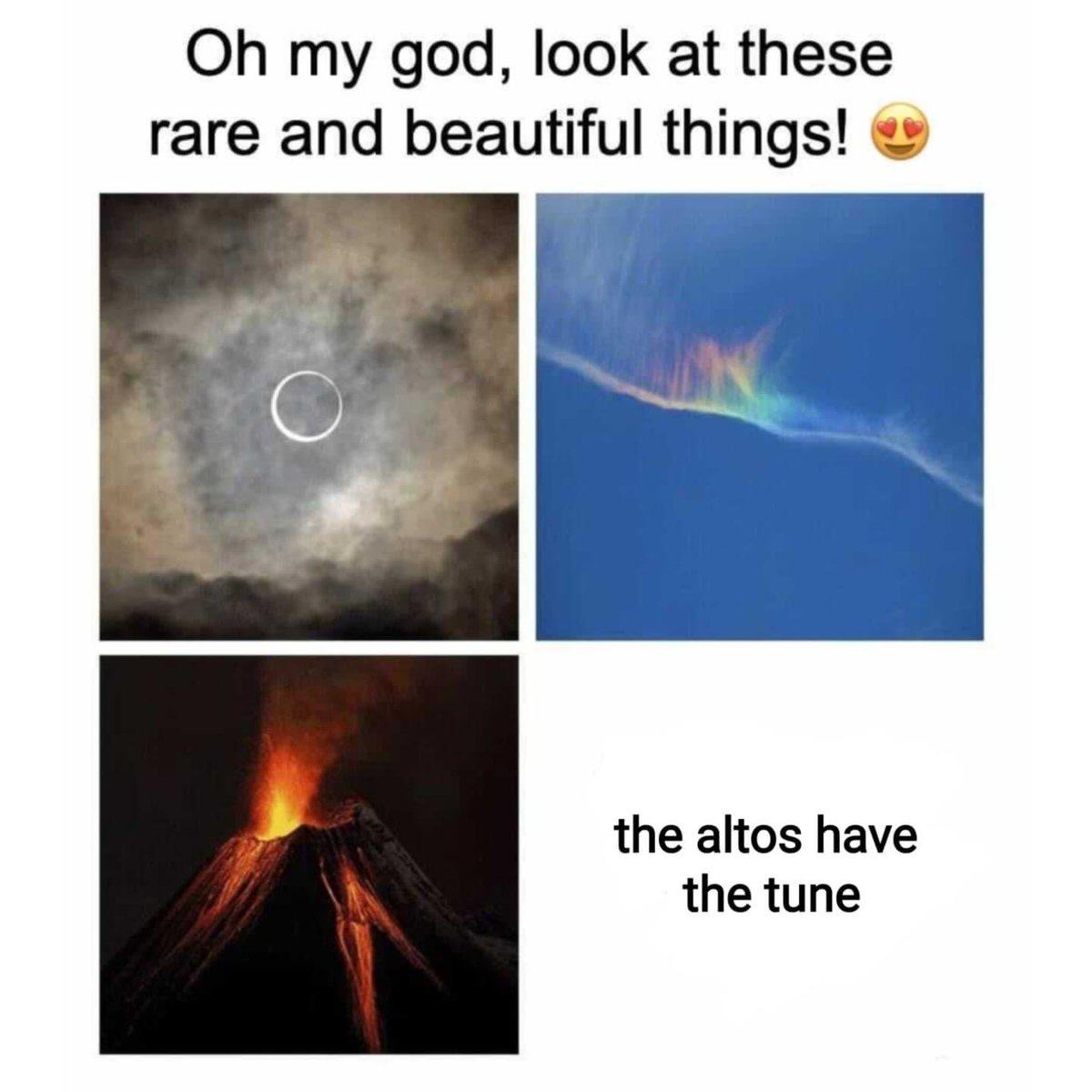 SandburgChoirs's tweet photo. It’s always a magical moment to behold #altoproblems https://t.co/ZfRxTqeGjf