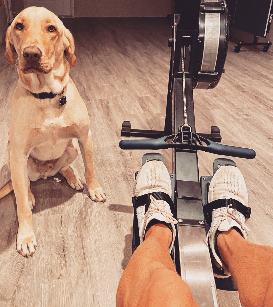 my #personsaltrainer