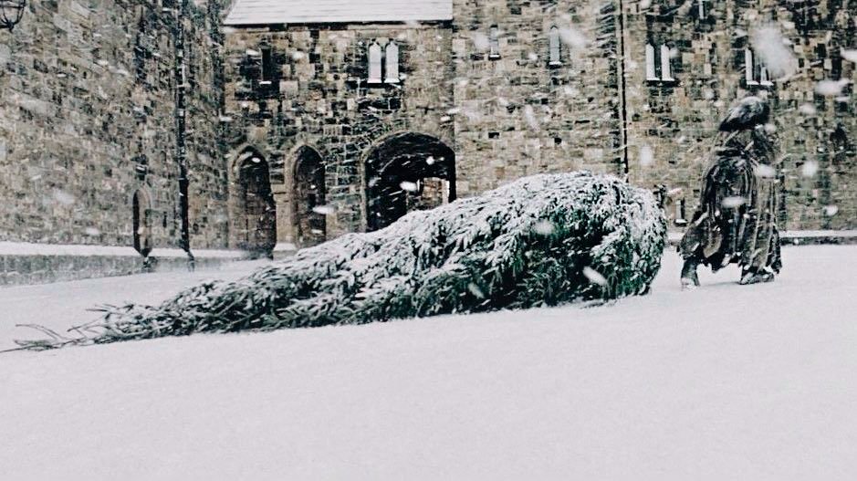 classland's tweet photo. Bienvenido diciembre. https://t.co/D5lYbW8t6P
