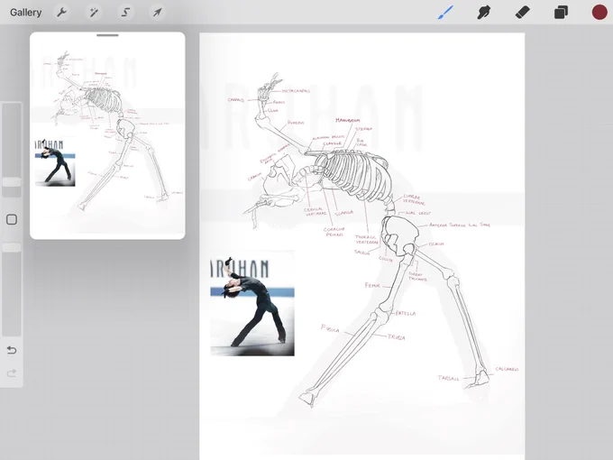 I would like to become a skeleton after trying to draw a skeleton for the first time 