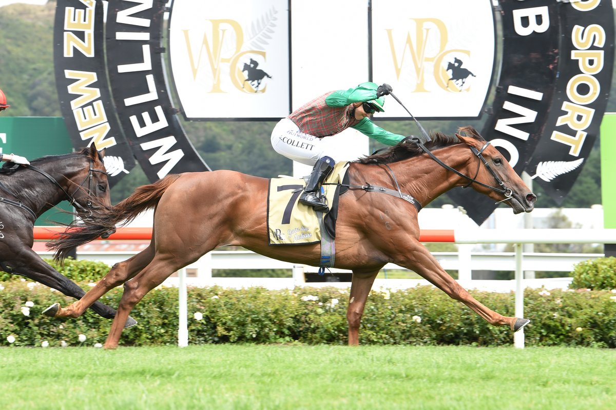 Ben Foote has three chances of success in Saturday's Gr.1 Rydges Wellington Captain Cook Stakes, not only as a trainer with #TravellingLight but as an owner with #VigorWinner and #Brando.
racingnews.co.nz/foote-vying-fo…