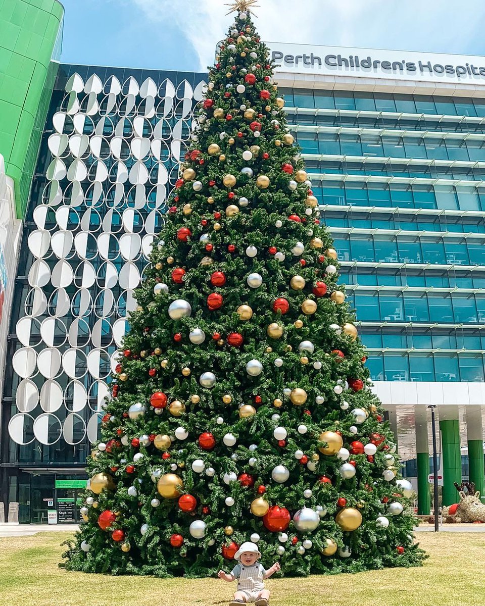 PCHFWA's tweet photo. It's the 1st of December which means Santa is on his way to @PerthChildrens to #LightUpChristmas for Sick Kids! We are so excited to bring Christmas to PCH like never before thanks to our generous partners.
#pchfwa #perthwa https://t.co/KMp6ajWBDt