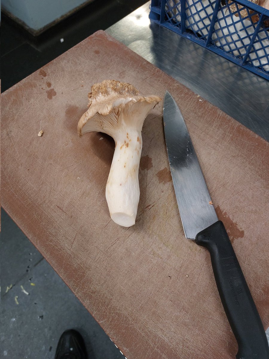 JasonToodles01's tweet photo. Size of that bugger. https://t.co/yT3541n97z