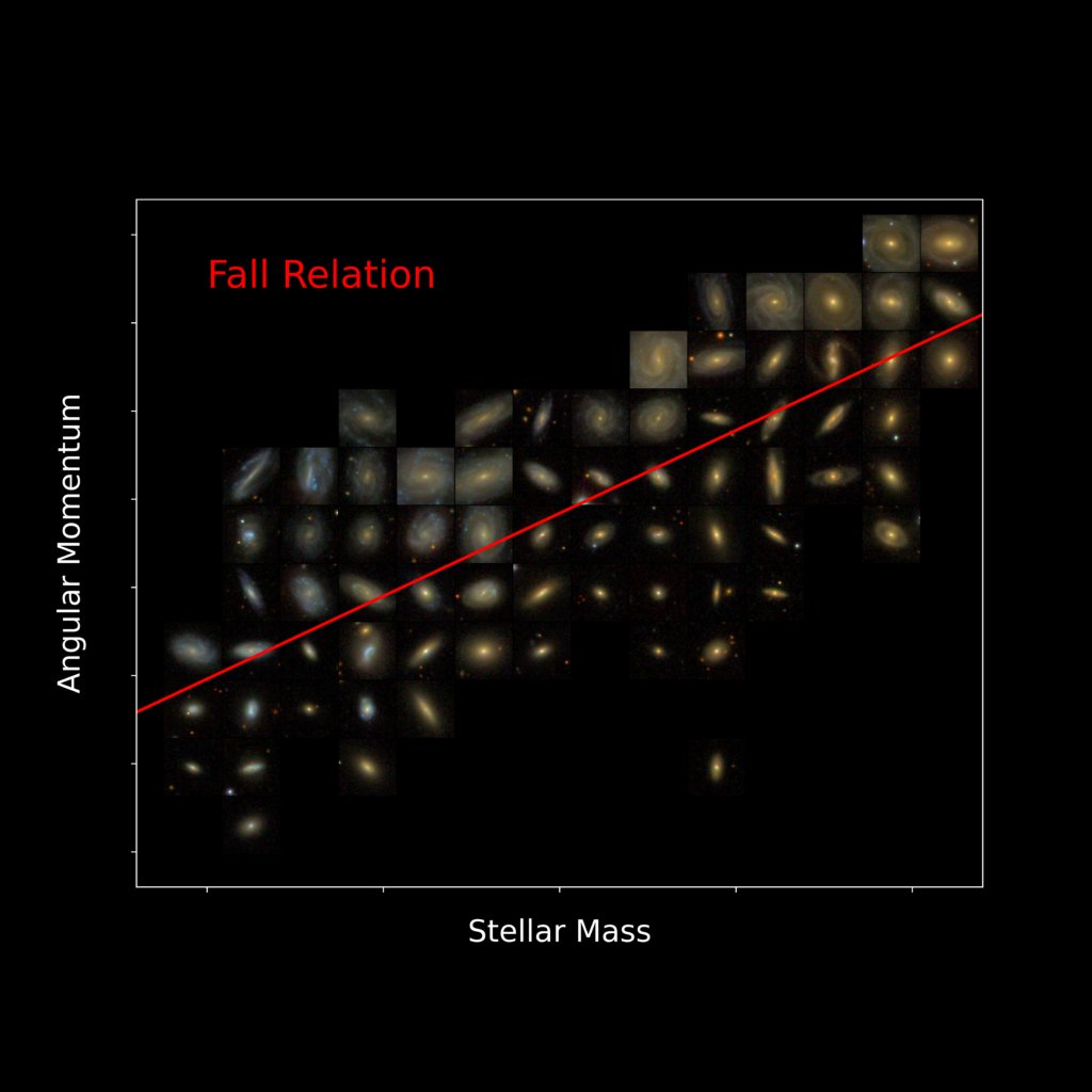 What can angular momentum and stellar mass tell us about galaxy evolution? A new paper from ICRAR-<a href="/uwanews/">UWA</a>' Jennifer Hardwick uses <a href="/NAICobservatory/">Arecibo Observatory</a> data to better understand how our local neighbourhood of galaxies formed.

<a href="/ARC_ASTRO3D/">ASTRO 3D</a> @astroquokka  icrar.org/arecibo-fall/
