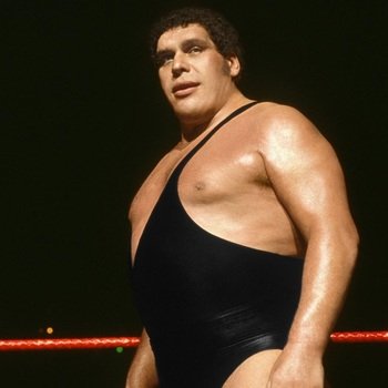 Trivia_Tweets1's tweet photo. Samuel Beckett employed a man named Boris Rousimoff to help build his farm north of Paris. Beckett became friends with Rousimoff’s son, and frequently drove him back and forth to school. The son later became a famous wrestler named Andre The Giant. #triviatweets #wwe #WWERaw https://t.co/BTGSG7yFuF