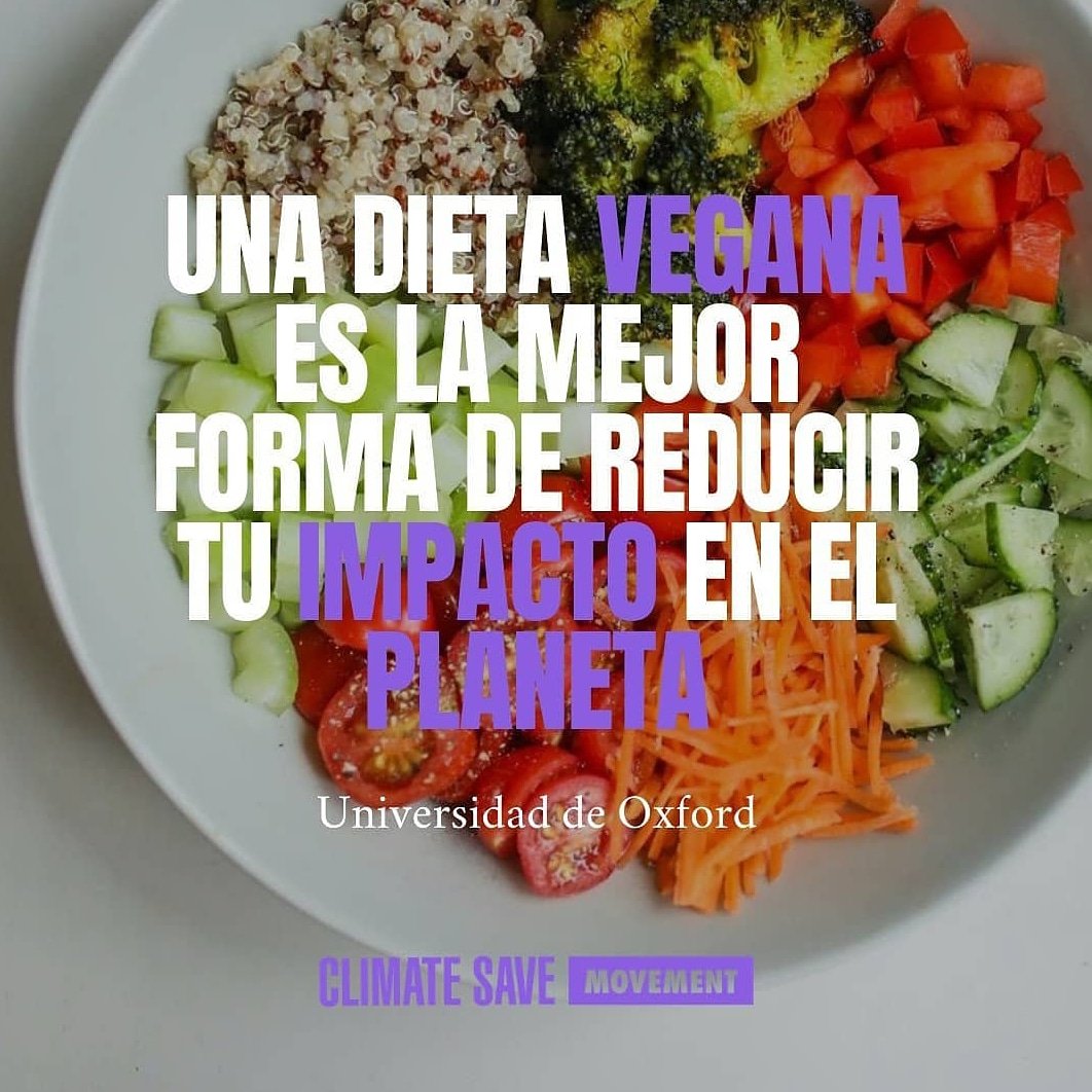 ClimateSaveMvd's tweet image. 