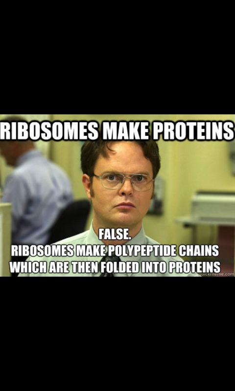 coolchloroplas2's tweet photo. @somes_ribo  
haha take that 😘😘
#glsow2021 https://t.co/PfqRrkMls6