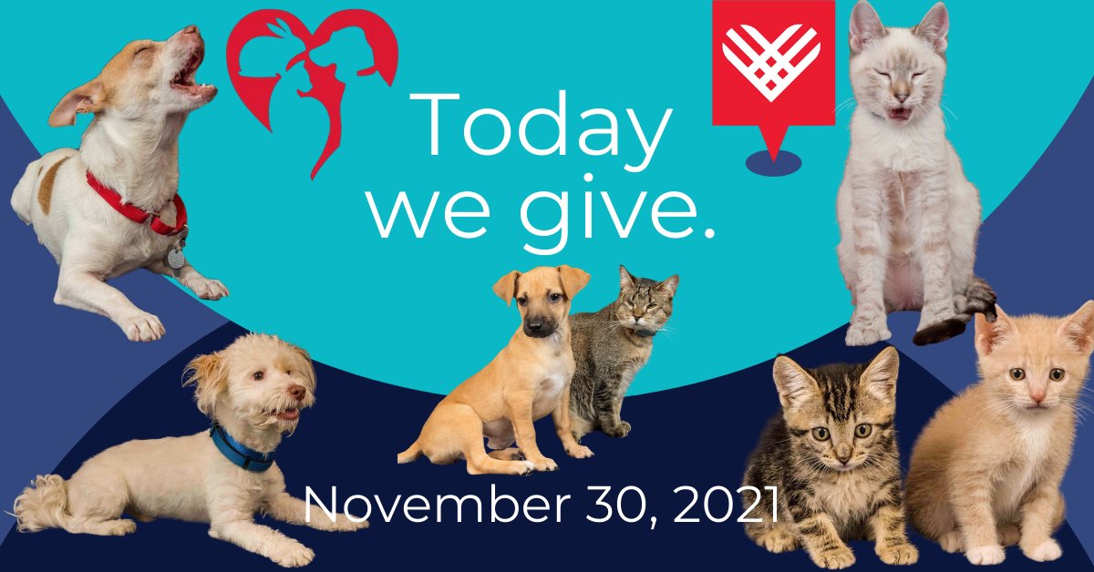 Donate today!! yolospca.org/donate/
#GivingTuesday #GivingTuesday2021 #GivingTuesdayCA
