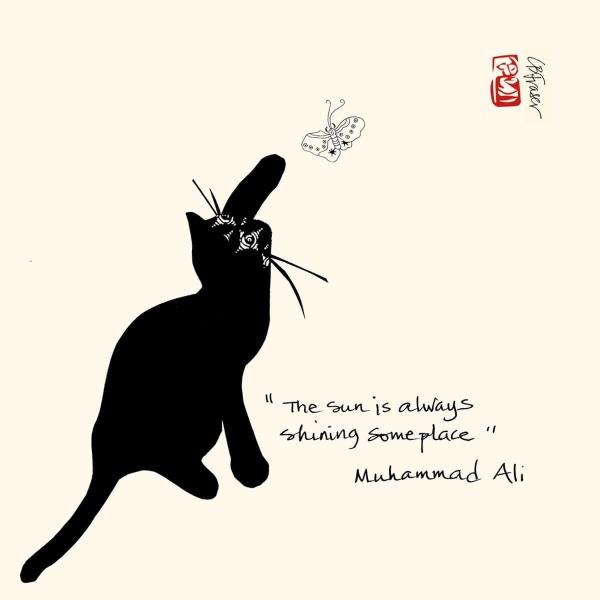 Haiku_Cats's tweet photo. "The sun is always shining someplace." - Muhammad Ali 

#Quotations #Quotes #Ali #Sunshine #Gratitude #November #Cat #Butterfly #Collage #Art #MuhammadAli #CatArt #Boxer #Sun #Optimism #Philanthropy https://t.co/1Jkc18Rfuc