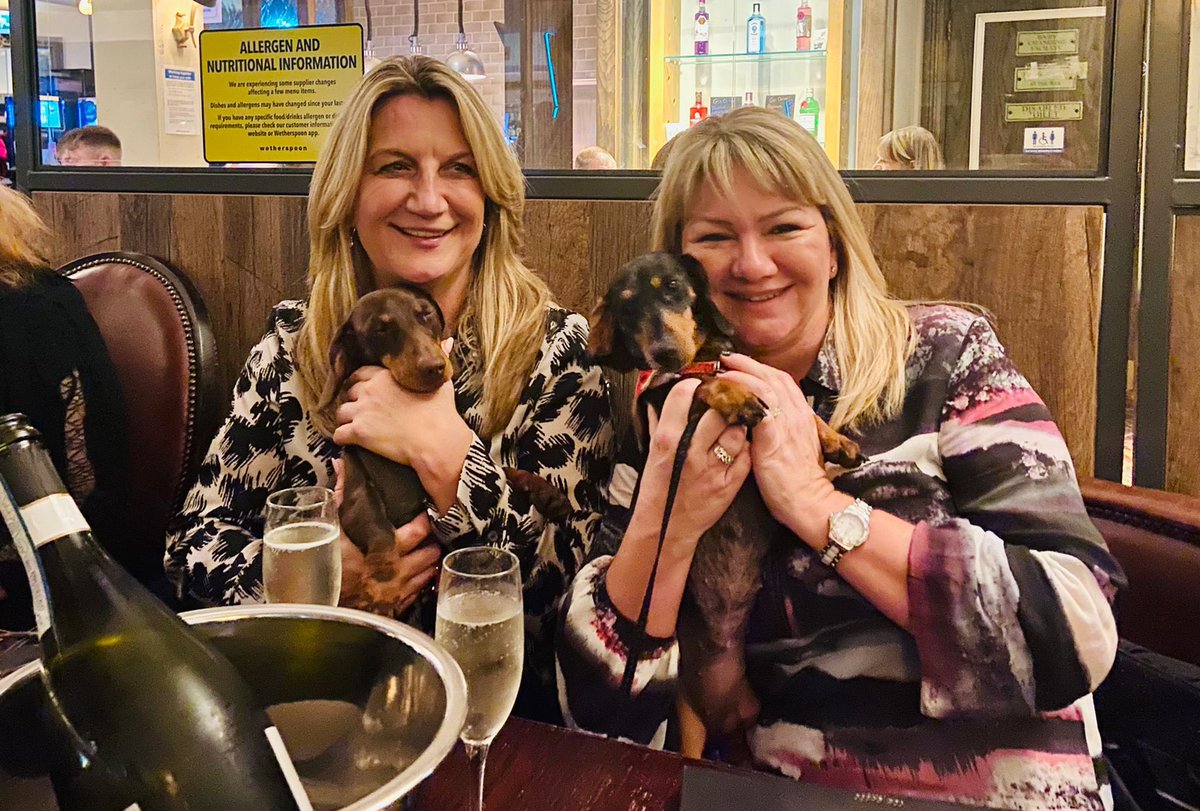 SouthernKazza's tweet photo. @sarajcox Snuck our dachshunds into ‘spoons. We got chucked out 🤣 https://t.co/1o9BP19o7u