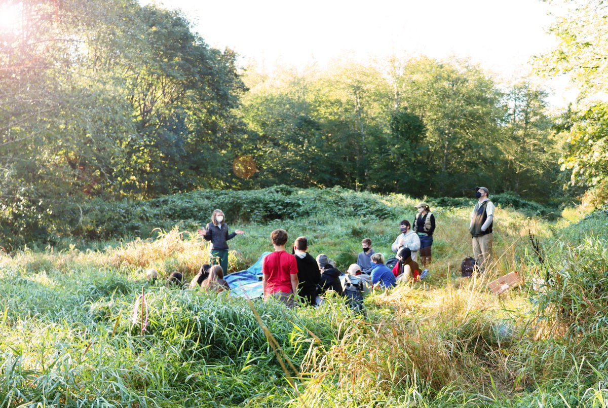 Plant a seed of science education and love of native plants!
It's Giving Tuesday, and we'd love to have your help with reaching out to children in Middle Schools looking to learn more about their local plants in Washington State. 
Consider a donation:  
wnps.org/donation/make-…
