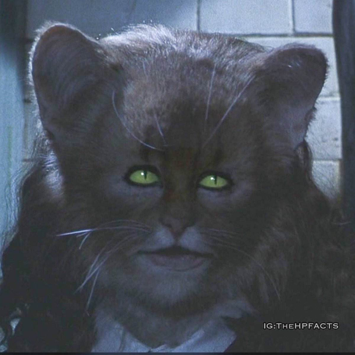 só não vê quem não quer 