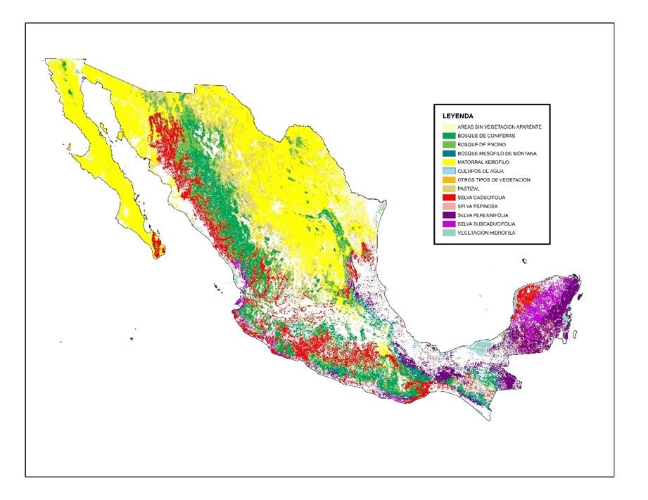 SantaellaJulio's tweet photo. #CUSV Hoy se actualizó la información cartográfica sobre Uso de Suelo y Vegetación. El Matorral Xerófilo es el de mayor extensión pues ocupa el 29.2% de la superficie Nacional, seguido del 17.8% de Bosques, 17.1% de Uso Agrícola, 16.3% a Selvas y 6.5% a Pastizal Cultivado. https://t.co/W9PlQB5ZTv