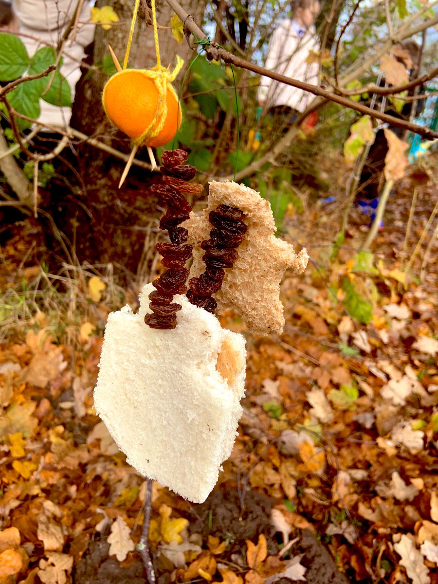 Outdoor Learning at Winsford High Street tweet media