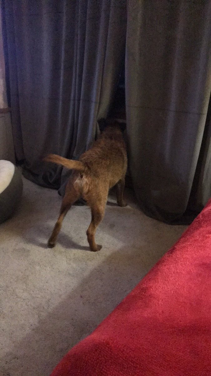 EddieAnB's tweet photo. Yes M? Can I help you? #btposse #imnotsleepy https://t.co/qTL8AqwIYV