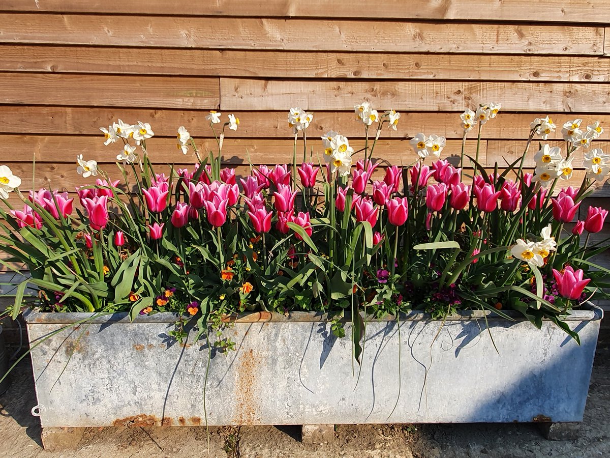 Guy Chatten tweet media