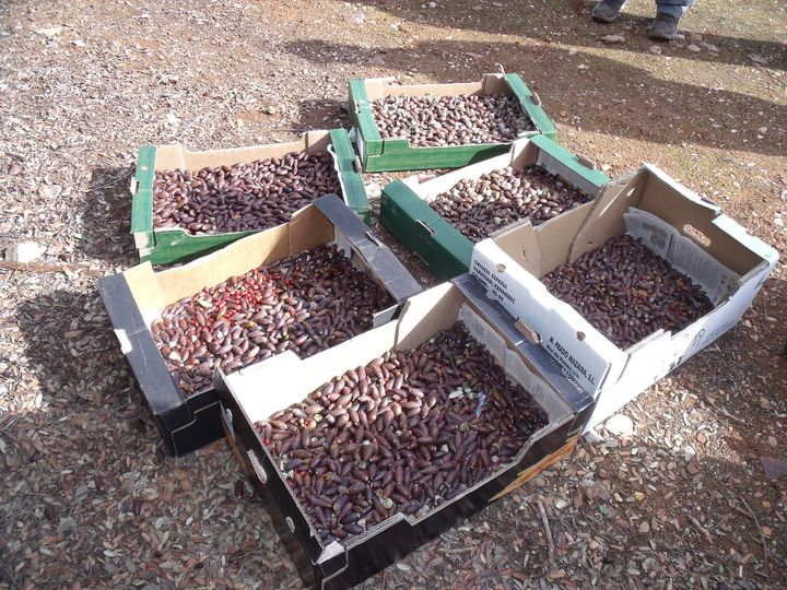 Solidaridad Manchega SOLMAN Ongd. tweet media