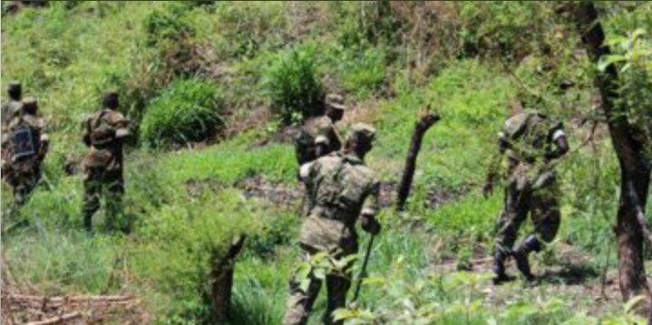 NrmYouthleague's tweet photo. Retweet if you love our gallant soldiers #UPDF https://t.co/TxEbzWxfvC