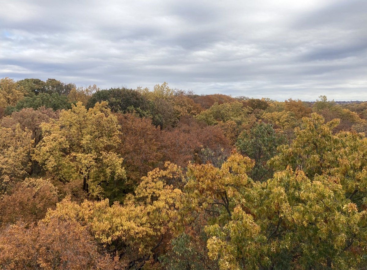 hannahrschaller's tweet photo. Perks of working from home - views like this: https://t.co/5DWQ14FHQE