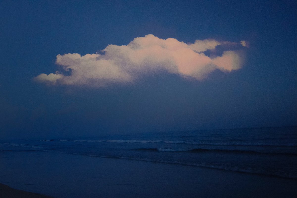 samanthacavet's tweet photo. A study of the color blue https://t.co/0ZgQne1hpW