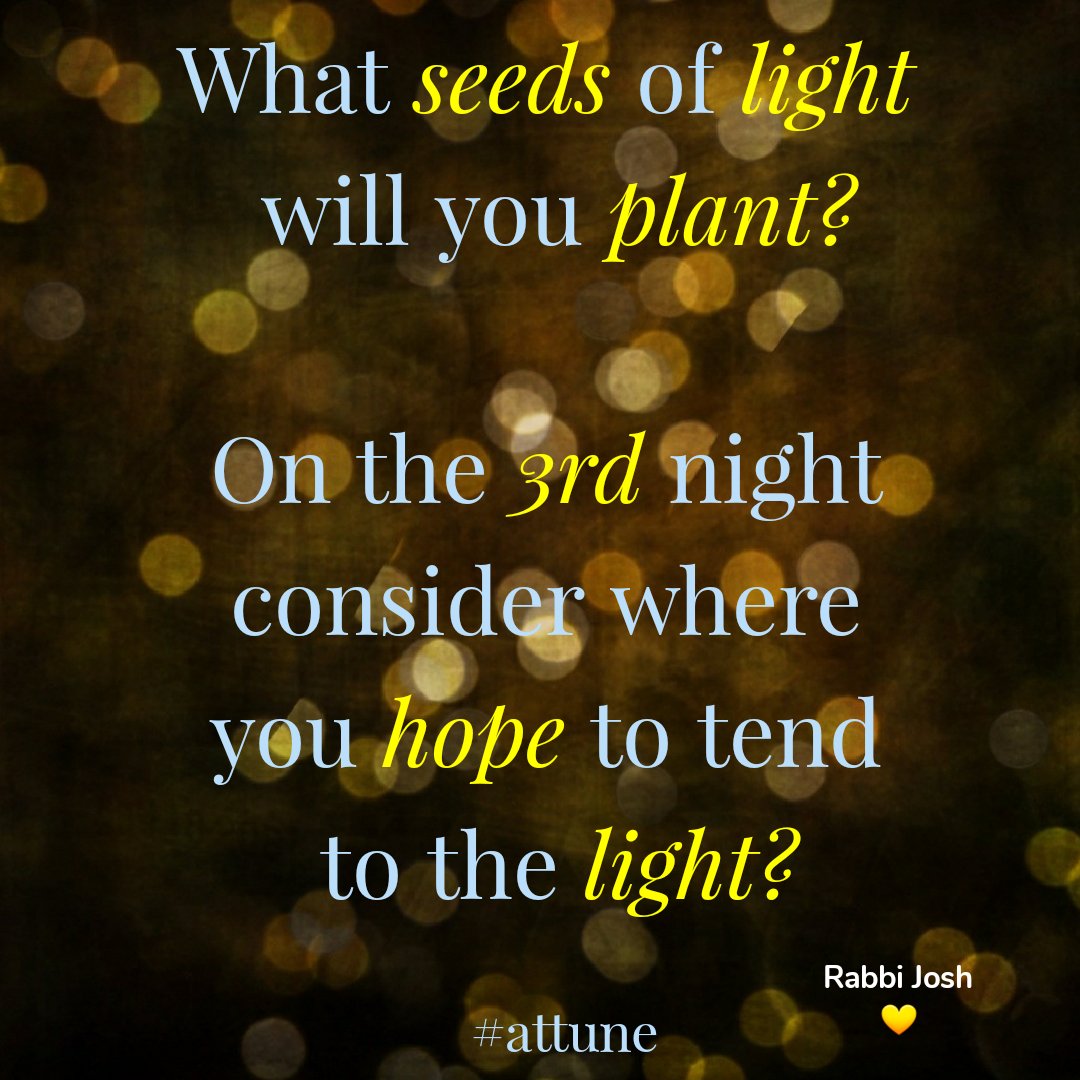 rabbijosh's tweet photo. Set your intentions as the light grows.
On the third night, where will you plant your seeds of light?
#HappyHanukkah
#ChagSameach
#Thirdnight https://t.co/jluqMY4uPc